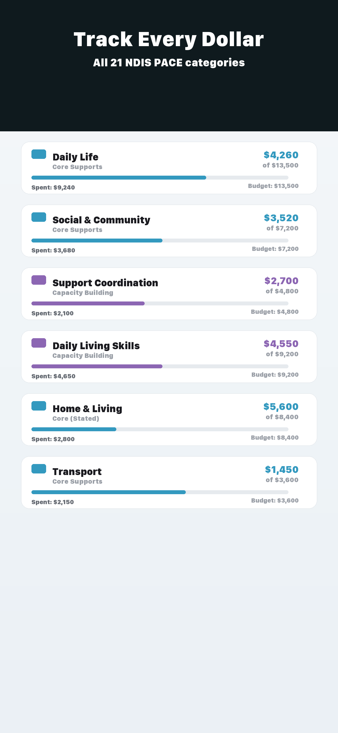 Budget Tracking